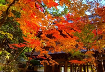 永源寺 写真