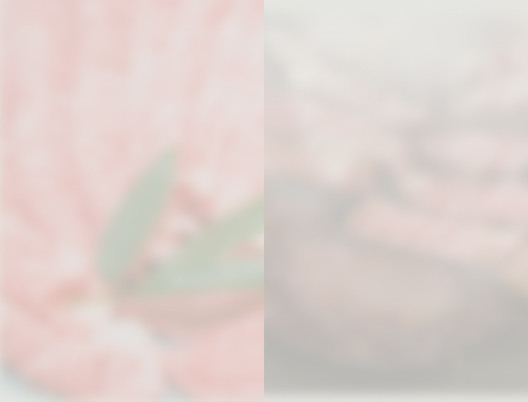 お肉の写真